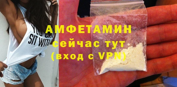 СК Алексин