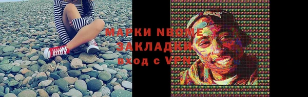 СК Алексин